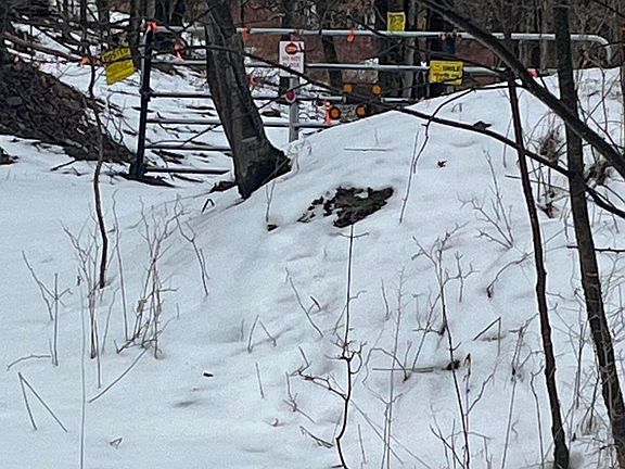 2nd image of 922 Hawk Rd