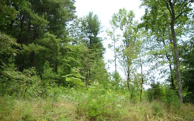 2nd image of 2775 Johnsonville Rd