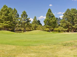 110 Puma Lane, ridgway, CO 81432