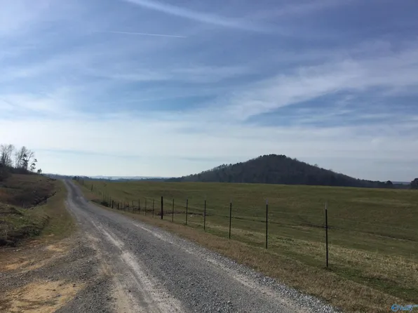 1034 Ausby Light Rd, Somerville, AL 35670