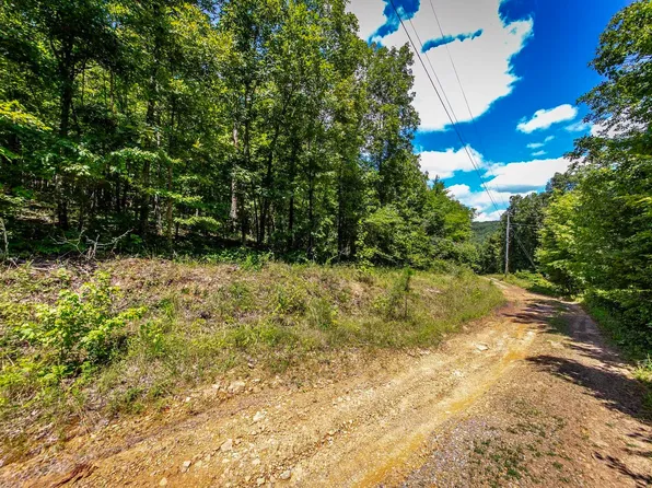 1256 Peyton Mountain Rd, Dennard, AR 72629
