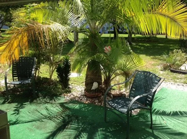 2427 Rhodesian Dr, Clearwater, FL 33763