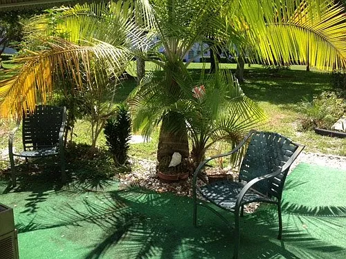 2427 Rhodesian Dr Photo 1