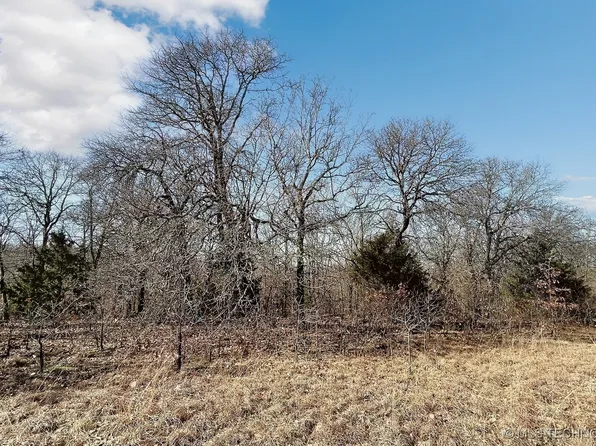 96308 S 4545th Rd, Vian, OK 74962