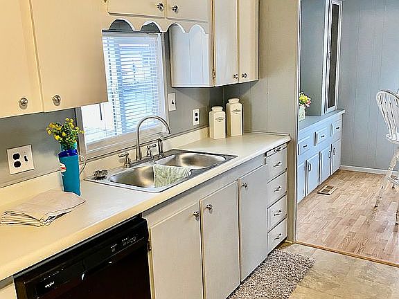 Dishwasher & garbage disposa