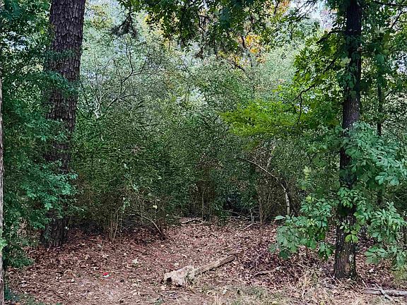 3rd image of 23 Lee Summit Dr