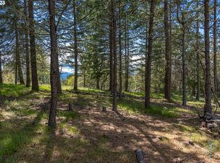 390 Canyon Rd LOT 2, Lyle, WA 98635