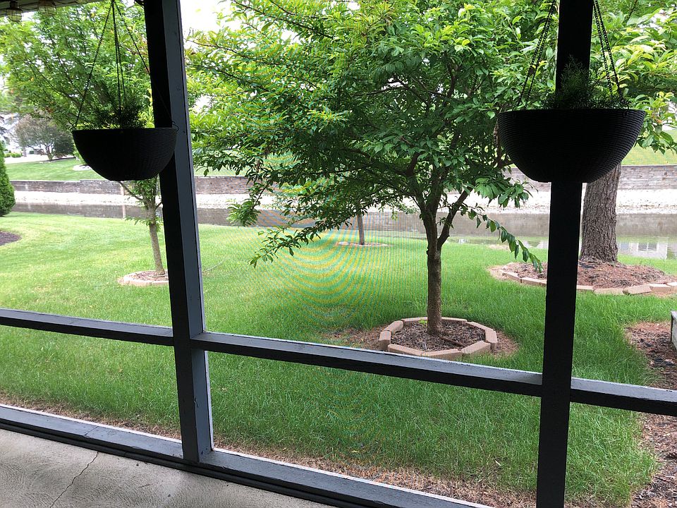 Pond view 