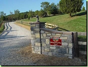 3rd image of 322 Pheasant Run Ct