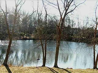 3rd image of 207 Idonia Dr