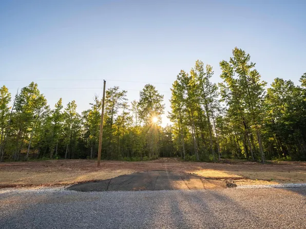 LOT 15 Cams Cov Old Hwy Lot 431-15, Wedowee, AL 36278