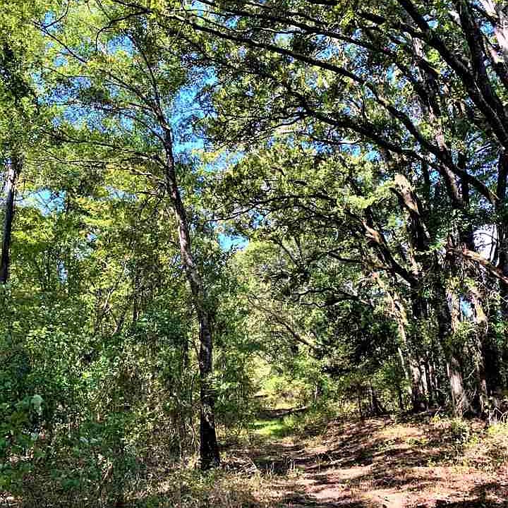 1st image of 77/AC County Road 4102