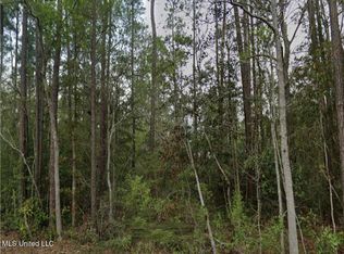 Erie St LOT 22, Bay Saint Louis, MS 39520