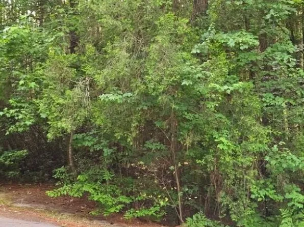 662 Wren Ln, Vass, NC 28394