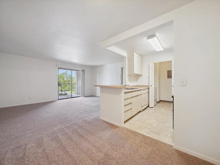 One Bedroom - 1 Bed / 1 Bath - 699 Sq.Ft.