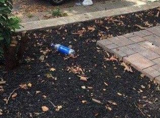 4930 Rorer St, Philadelphia, PA 19120