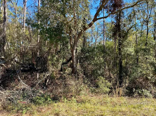 LOT 50 NW 29th Pl, Jennings, FL 32053
