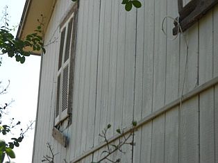 2nd image of 9806 Dugas Dr