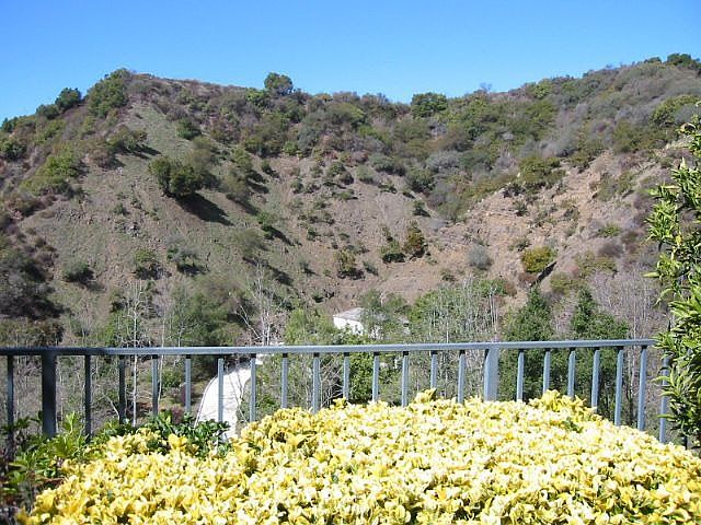 fabulous canyon views from back of house