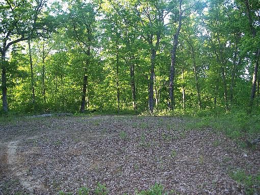 1st image of 27020 Deerwood Trl