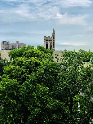 Rented by Compass | media 58