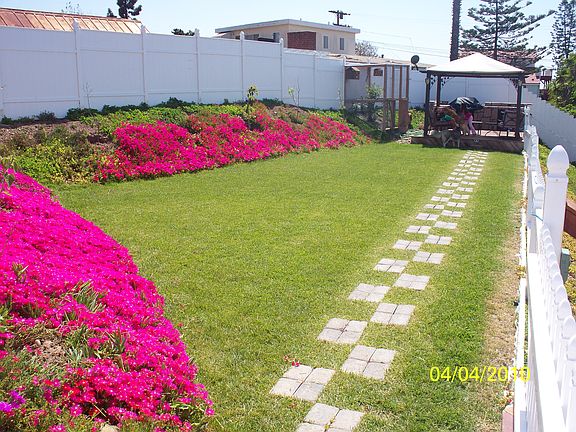 Upper yard When fully grown