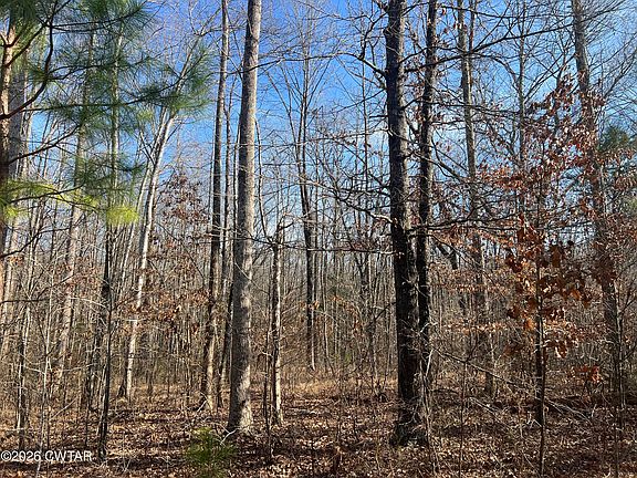 3rd image of 240 War Eagle Dr Lot 121