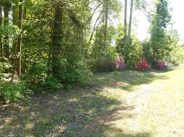 0 Tin Mine Rd #1, Lincolnton, NC 28092