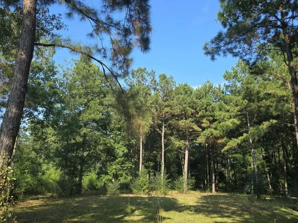 12777 Fm 252, Kirbyville, TX 75956