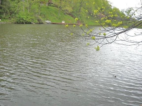 3rd image of 1681 Lakeside Ct