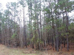 10102 Woodlane Blvd, Magnolia, TX 77354