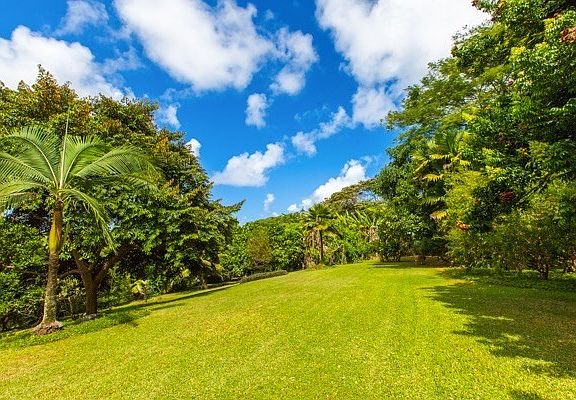 5th image of 4236 N Waiakalua St