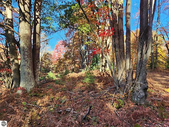 4th image of Vl Forest Dr