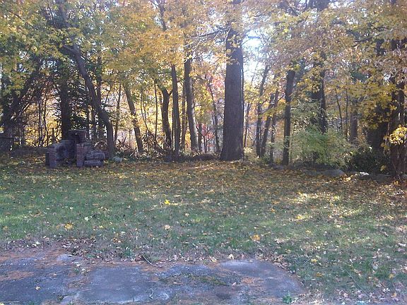 Beautiful and private back yard