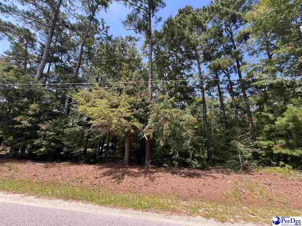 283 Byrnes Cir, Johnsonville, SC 29555