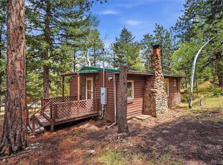 14032 S Olive Ave, Pine, CO 80470