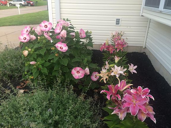 In front of the bay window.