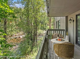 1024 E Hopkins Ave APT 16, Aspen, CO 81611