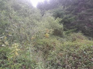 82 Landis Rd, Whitethorn, CA 95589