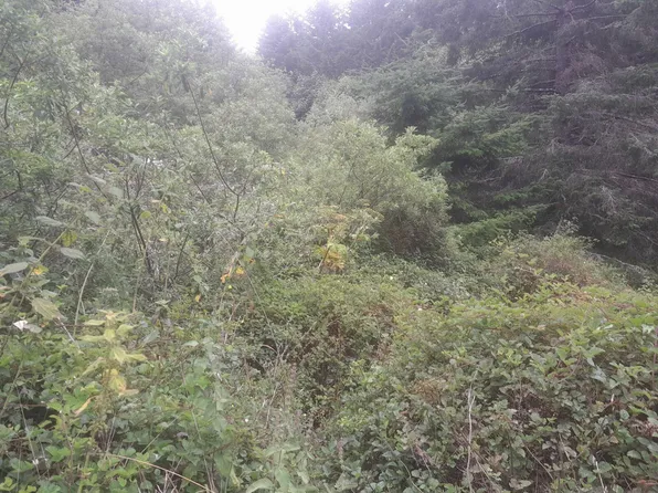 82 Landis Rd, Whitethorn, CA 95589