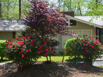 63 Santeetlah Shores Rd, Robbinsville, NC, 28771