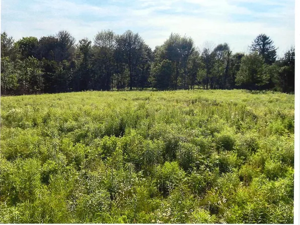 0 Porter Central Rd, Sunbury, OH 43074