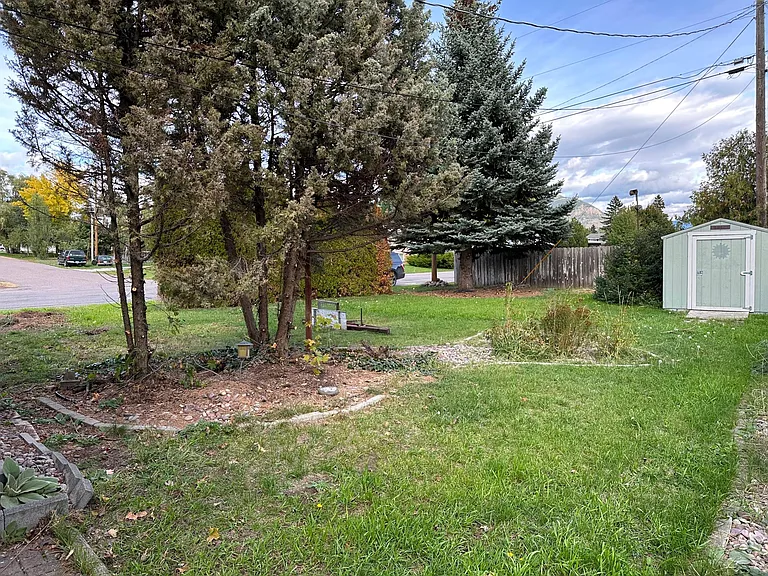 Back yard