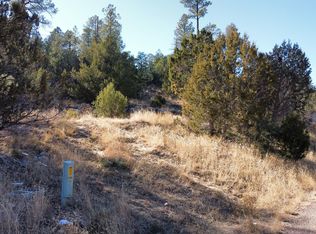 1905 Pine Dr, Overgaard, AZ 85933