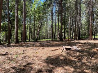55 Buckeye Dr, Forbestown, CA 95941