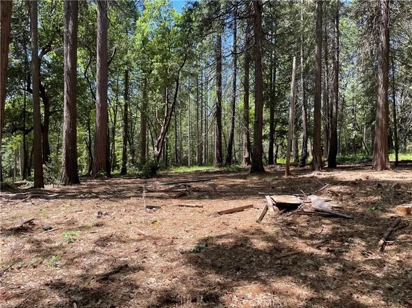 55 Buckeye Dr, Forbestown, CA 95941