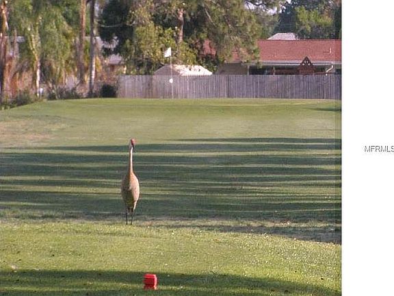 Venice East golf club