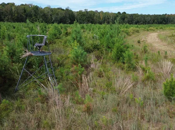 0 Mulberry Rd, Saint George, SC 29477