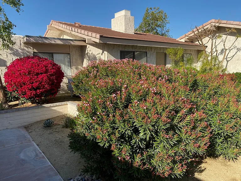 Desert Dorado Villas — Photo 22