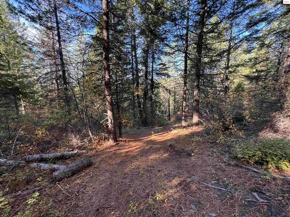Nna W Rocky Rd, Sagle, ID 83860